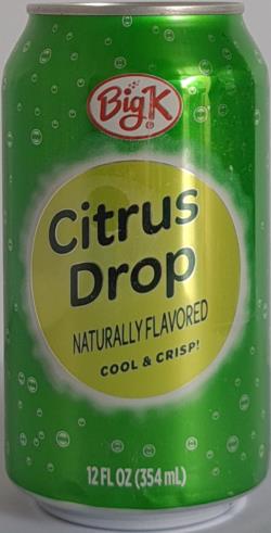 Cactus Cooler Orange Pineapple Blast Soda Cans, 12 pk / 12 fl oz - King  Soopers